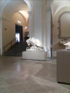 Musée des Beaux-Arts de Lyon - Église Saint-Pierre-des-Terreaux, salle des sculptures - Lion au serpent de Barye