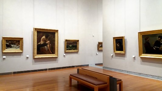 Musée des beaux-arts de Lyon - 19e siècle 3