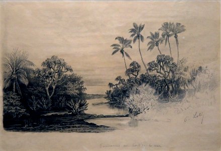 Musée du quai Branly Peintures des lointains Pierre Loti Pandanus au bord de la mer 03012019 6259