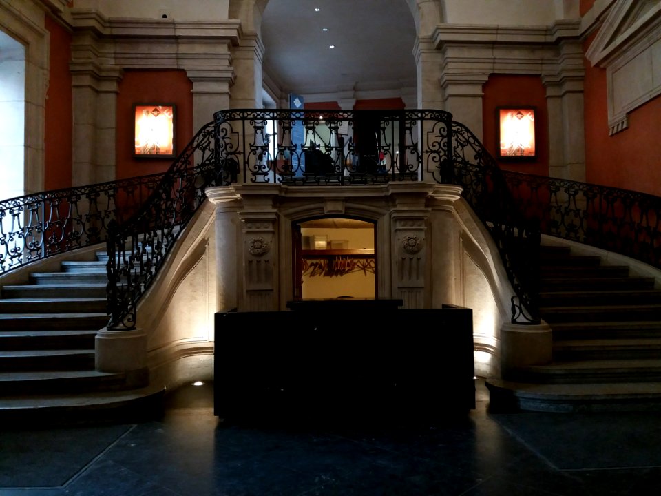 Musée des Beaux-Arts de Lyon - Entrée des expositions, double escalier