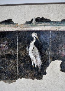 Musée GR de Saint-Romain-en-Gal 27 07 2011 28