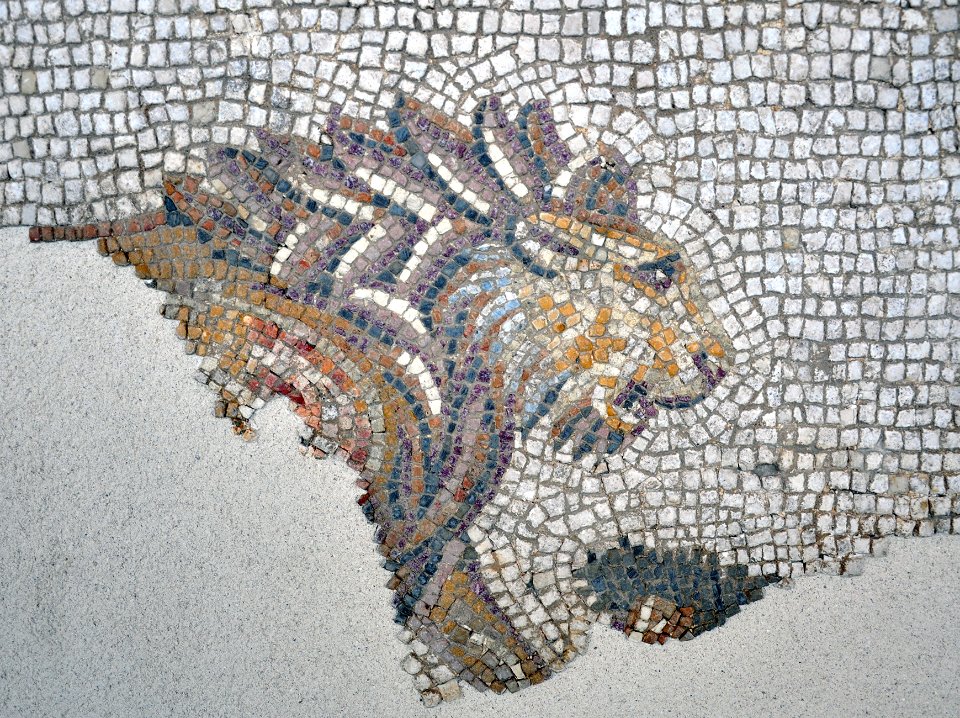 Musée GR de Saint-Romain-en-Gal 27 07 2011 19 Lion