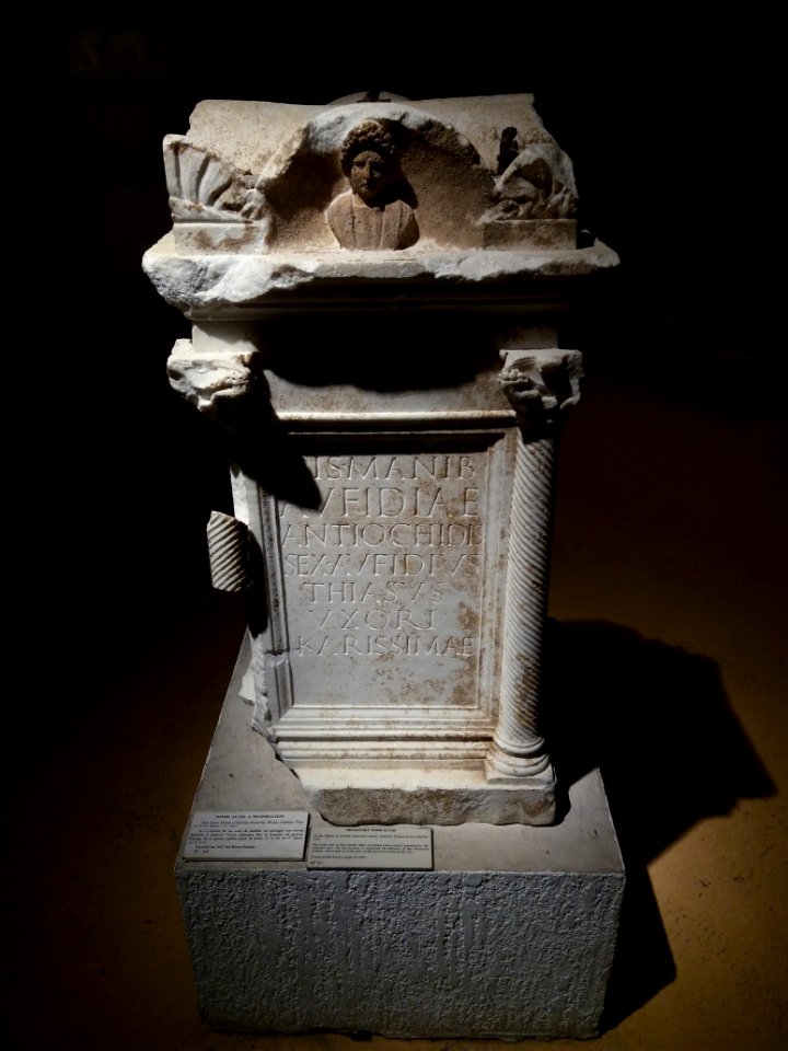 Musée Lugdunum - Tombe autel à incinération - W 247