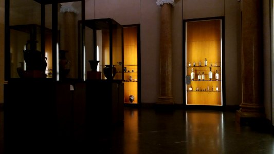 Musée des beaux-arts de Lyon - Salle Paul Dissard