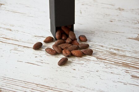 Food healthy wood