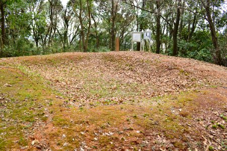Mukonoda Kofun, funcho