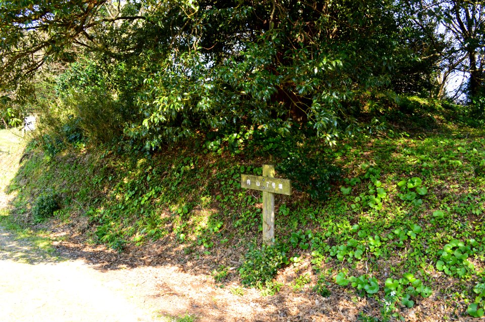 Mukoyama Kofun Group-7, funkyu