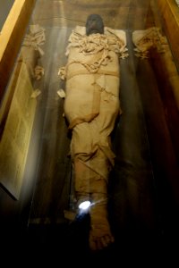 Mummy composite, Egypt, head and foot c. 1500 BC - Fitchburg Art Museum - DSC08586