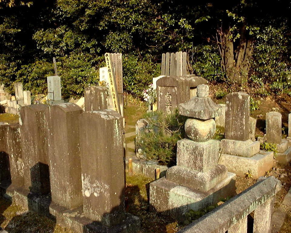 Mukai grave totale
