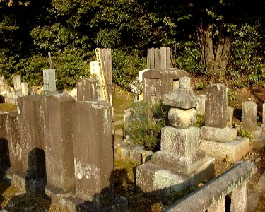Mukai grave totale