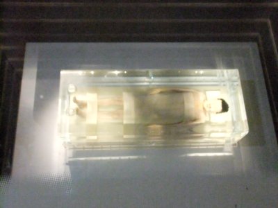 Mummy of Xin Zhui, Western Han dynasty, Hunan Museum (2)