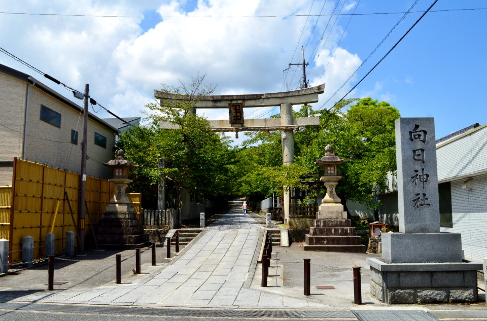 Muko-jinja, torii