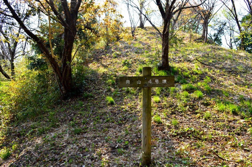 Mukoyama Kofun Group-4, funkyu