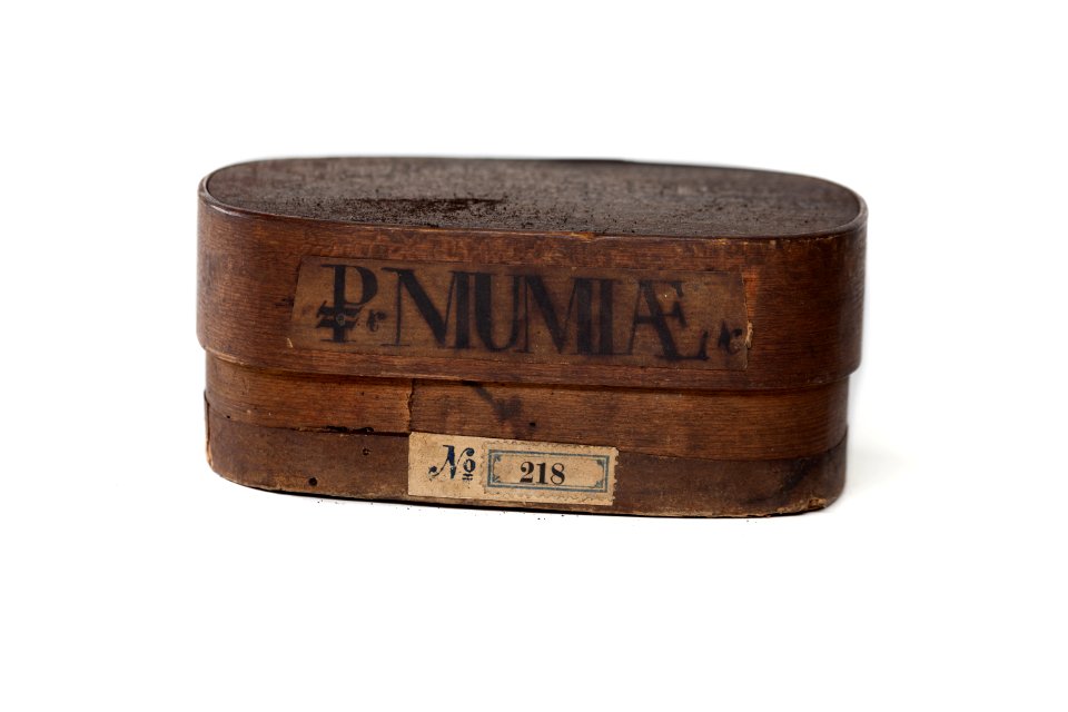 Mumiae, Museum für Hamburgische Geschichte IMG 1897 edit