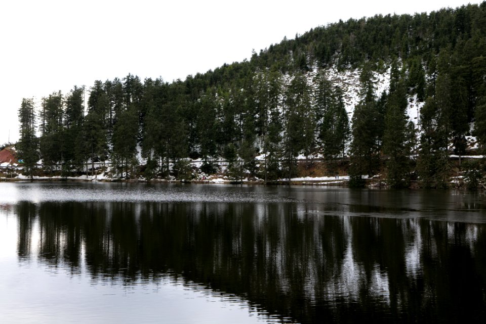 Mummelsee 2020-03-14 17