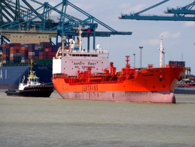 MULTRATUG 30 - IMO 9695482 with Trans Borg - IMO 9221669, Zandvlietsluis, Port of Antwerp