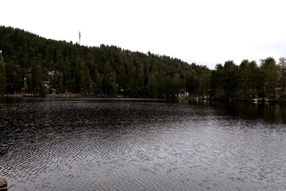 Mummelsee 2020-03-14 06
