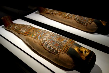 Mummy of adult male, Egypt, Ptolemaic period, 332 BC to 30 AD - Cincinnati Art Museum - DSC04246