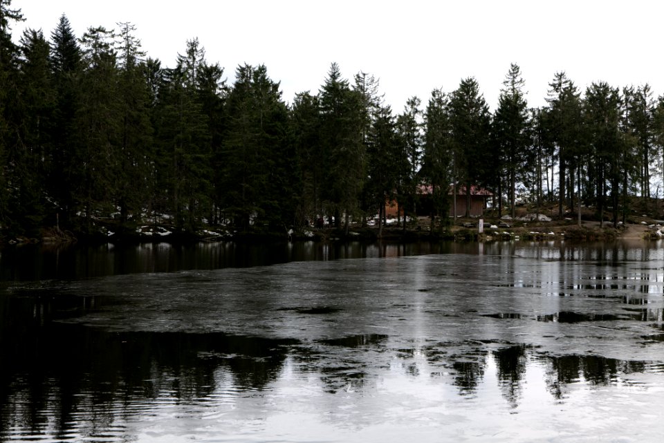 Mummelsee 2020-03-14 16