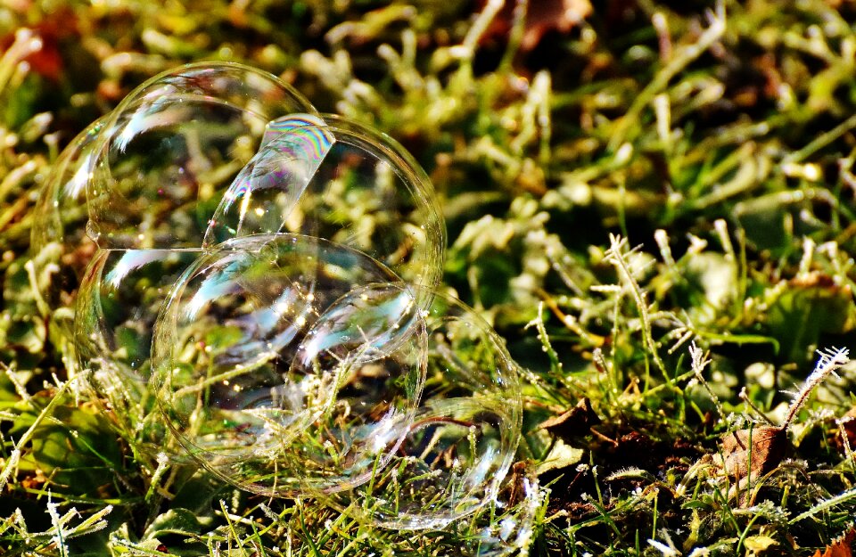 Balls soapy water make soap bubbles photo