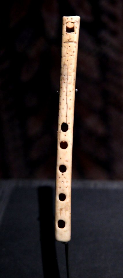Musée de la musique Paris 10022019 Flute en os de vautour 2500 av JC Aveyron 0805
