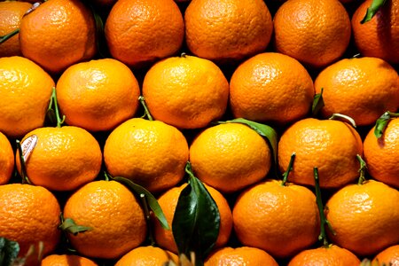 Mandarin vitamins citrus fruits photo