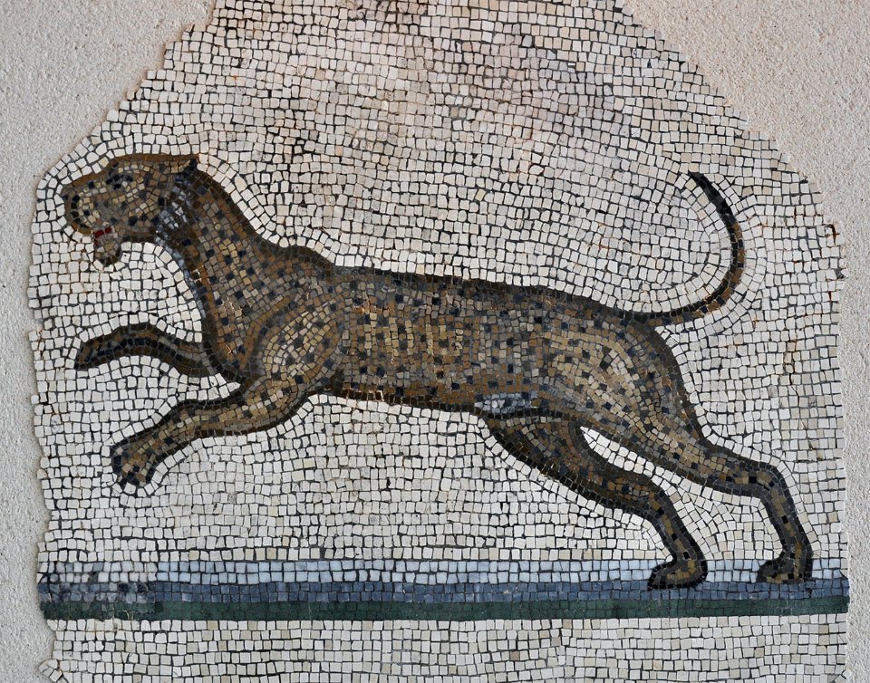 Musée GR de Saint-Romain-en-Gal 27 07 2011 21 Orphée