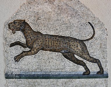 Musée GR de Saint-Romain-en-Gal 27 07 2011 21 Orphée