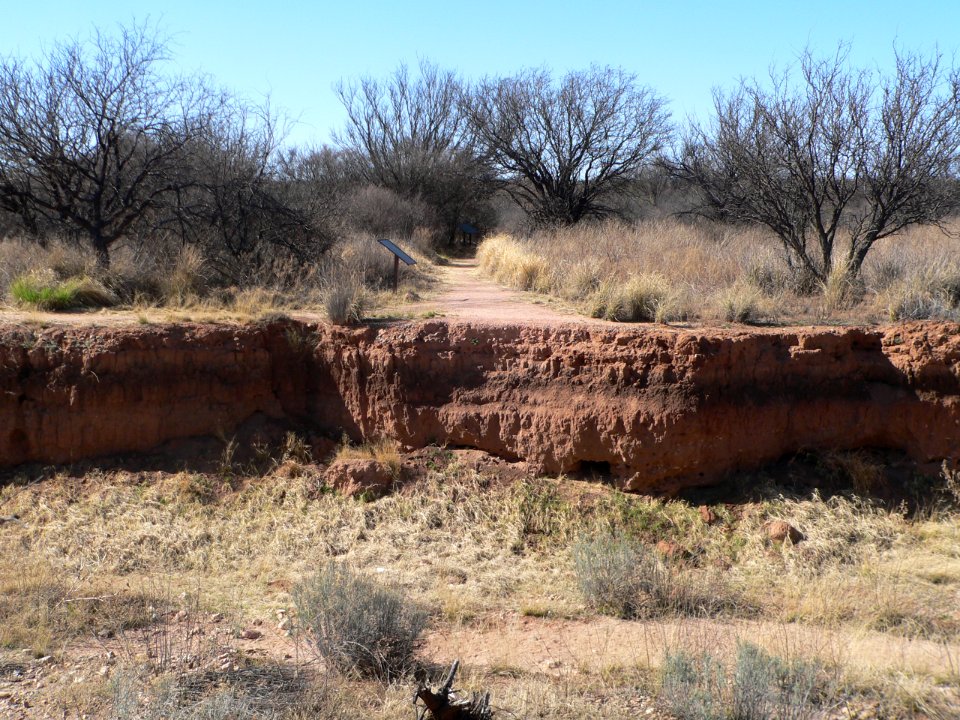 Murray Springs Clovis site, wash near crossing 1