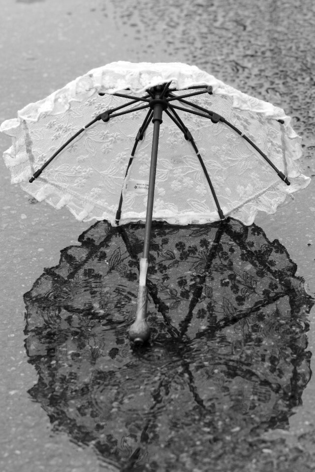 Rain reflection summer