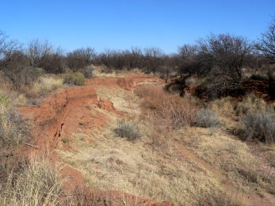 Murray Springs Clovis site, wash near crossing 4