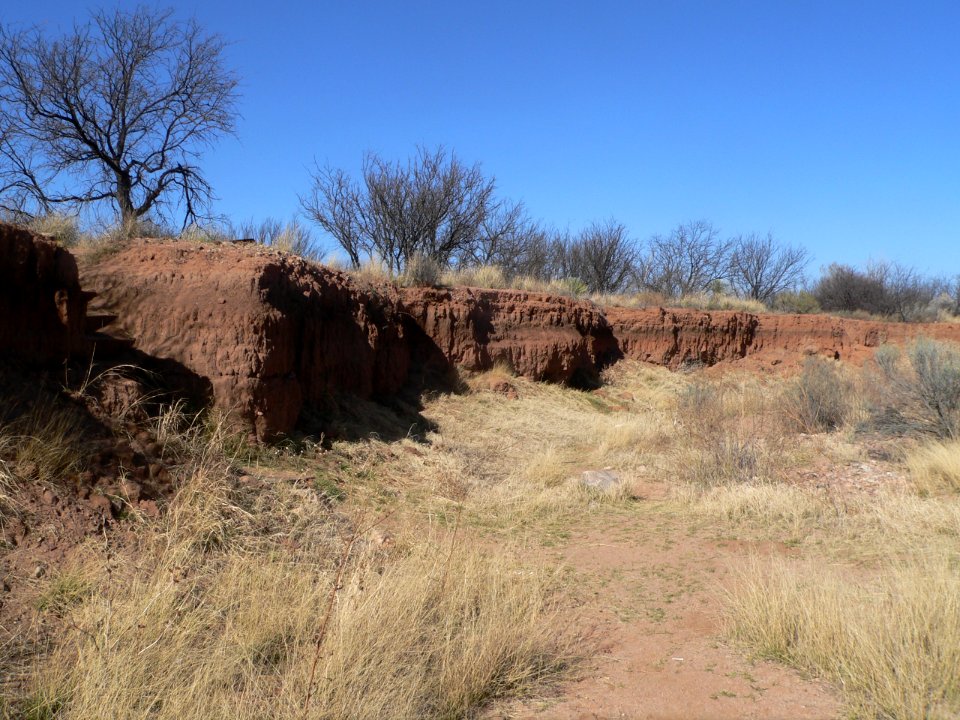 Murray Springs Clovis site, wash near crossing 3