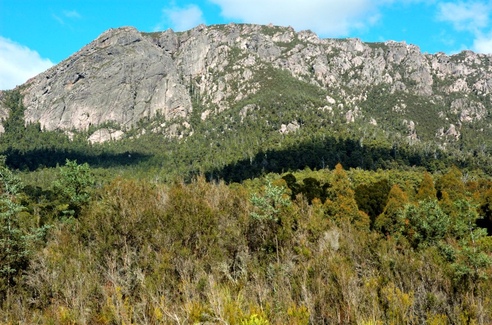 Mount-Roland-Reserve-20070422-017