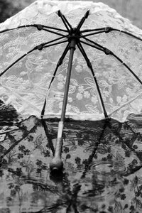 Rain reflection summer photo