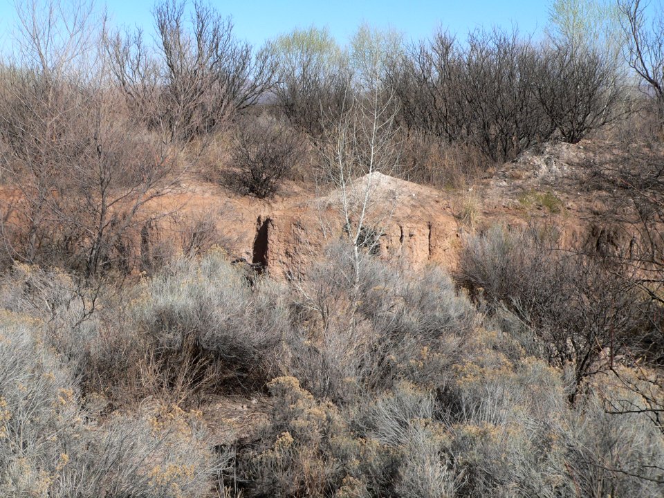Murray Springs Clovis site, wash near kill site 1