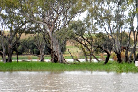 Murray River South Australia