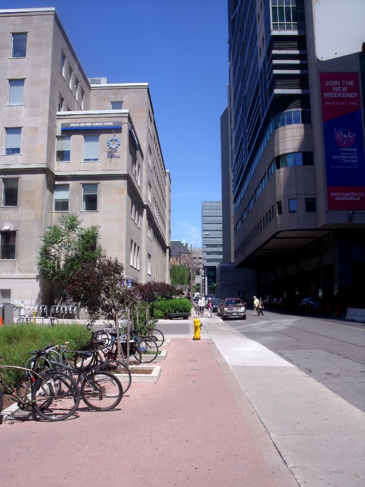 Murray Street, Toronto (2)