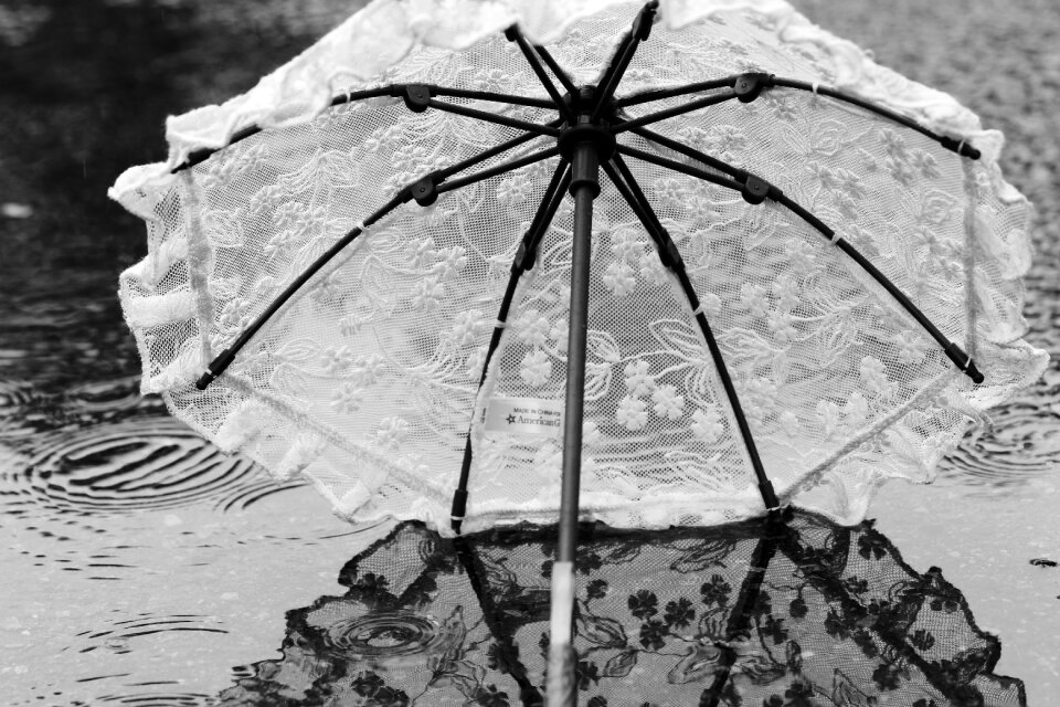 Rain reflection summer photo