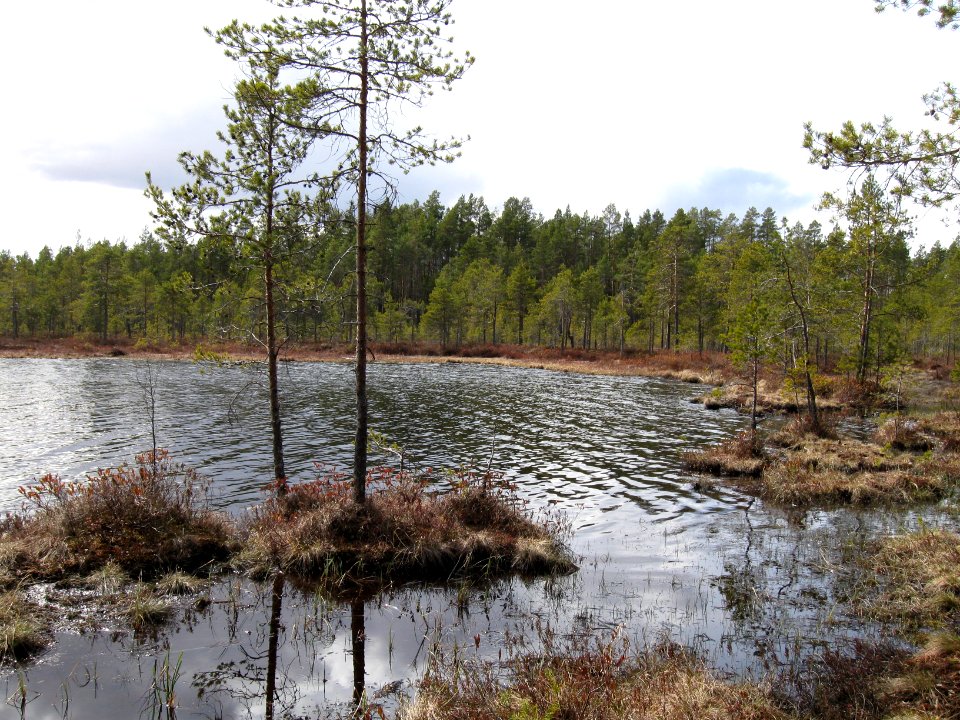 Mourunginjärvi 5