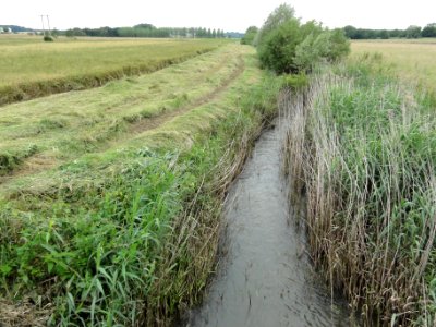 Moussey (Moselle) le Sânon