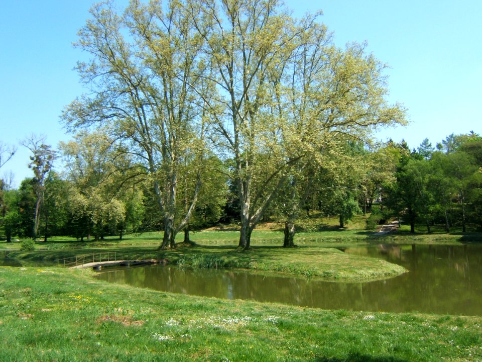 Mozsgó, kastélypark