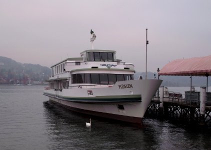 Ms flueelen luzern nov 2011