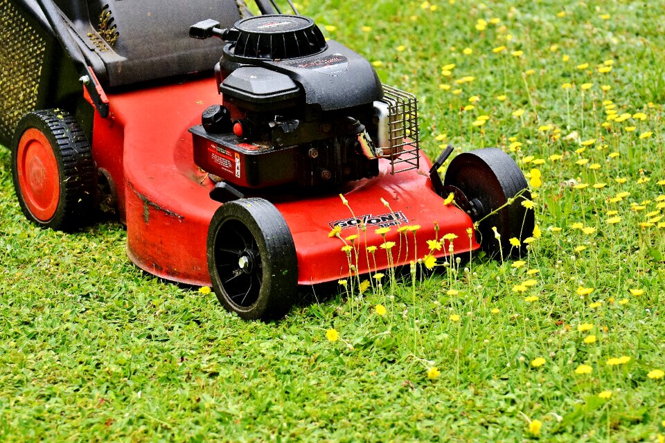 Green meadow gardening