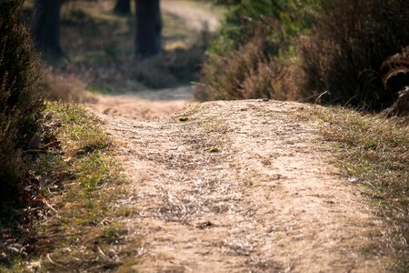 Heathland target trail