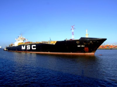 MSC Asli, Port of Antwerp 19Dec2008 picA