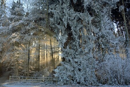 Landscape sunlight light beam