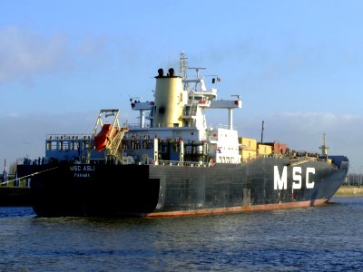 MSC Asli, Port of Antwerp 19Dec2008 picD