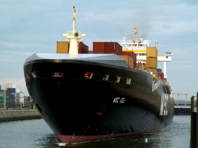 MSC Asli Port of Antwerp 01-Jan-2005