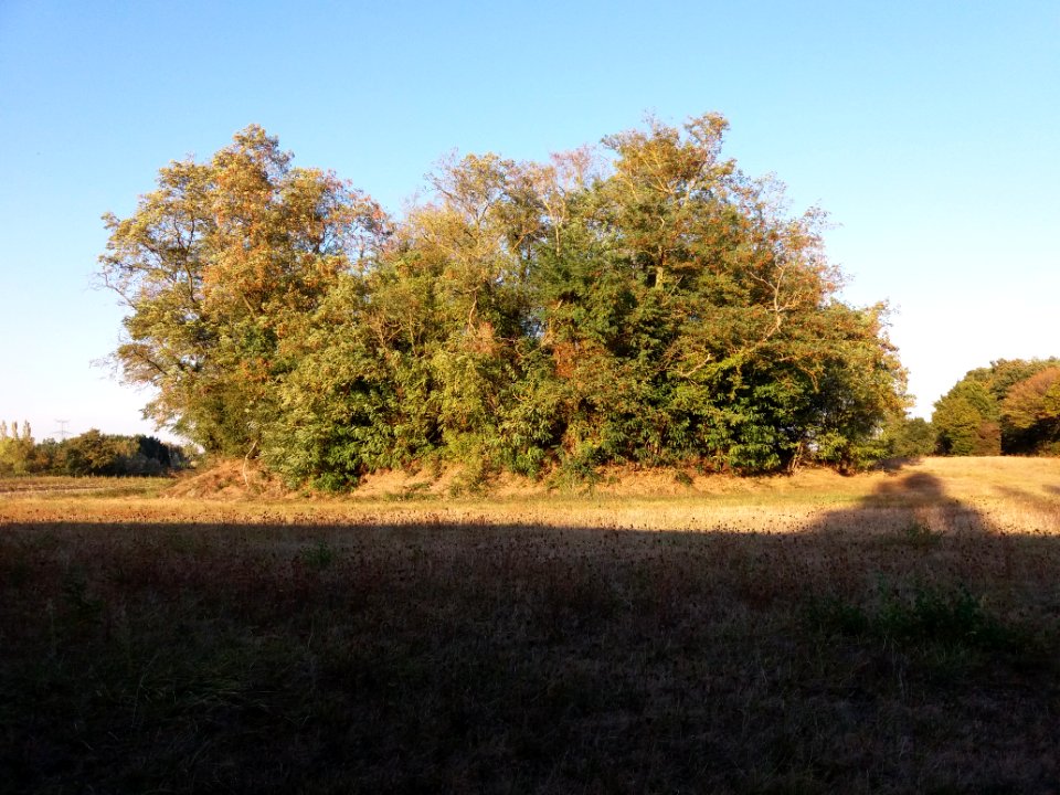 Motte castrale de Saint-André de Corcy - Côté sud-ouest