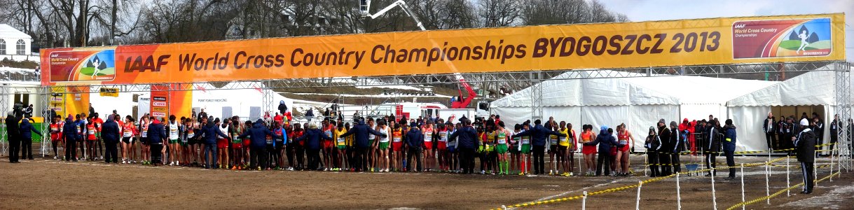 MS biegi przełajowe start panoram